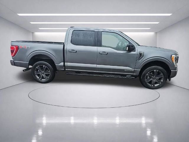 Certified 2023 Ford F150 XLT w/ Equipment Group 302A High AWD/4WD image 14