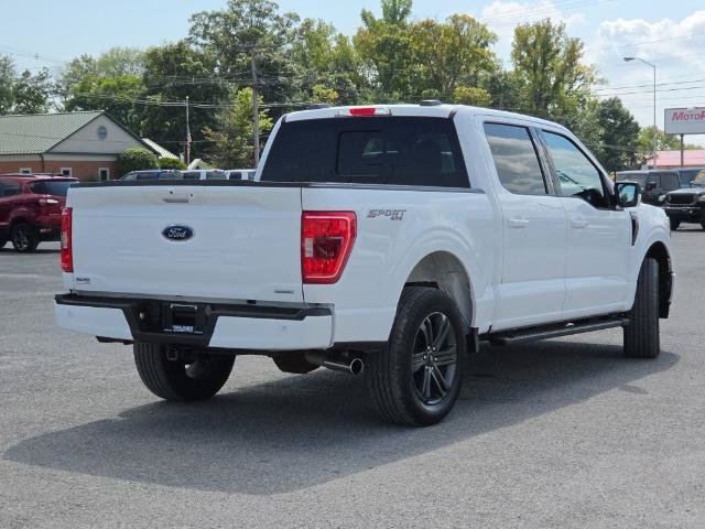 Certified 2023 Ford F150 XLT w/ Equipment Group 302A High AWD/4WD image 7