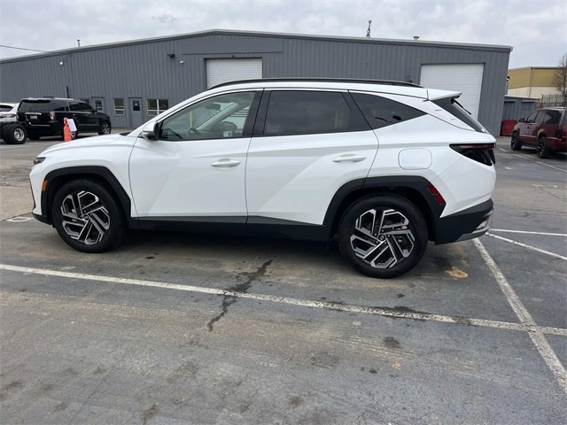 Used 2025 Hyundai Tucson Limited image 6