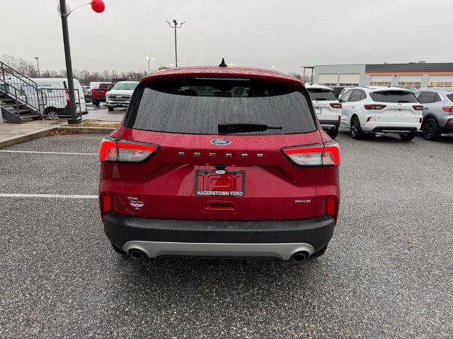Certified 2022 Ford Escape SE w/ Convenience Package image 4