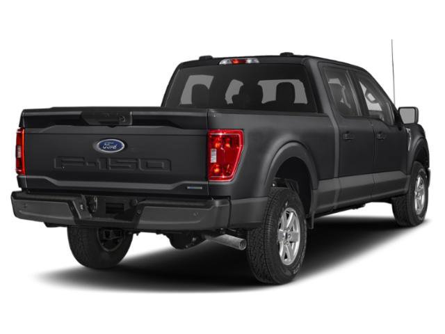Certified 2023 Ford F150 XLT w/ Equipment Group 302A High image 2