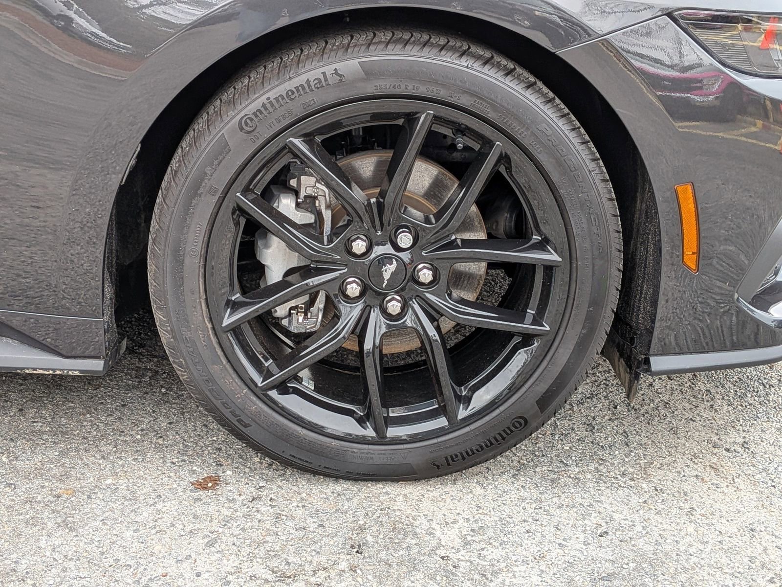 Certified 2024 Ford Mustang Premium image 12