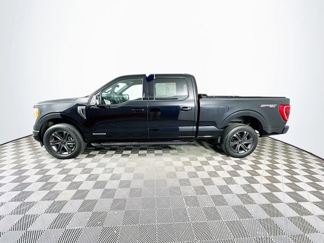 Certified 2023 Ford F150 XLT w/ Equipment Group 302A High AWD/4WD image 8
