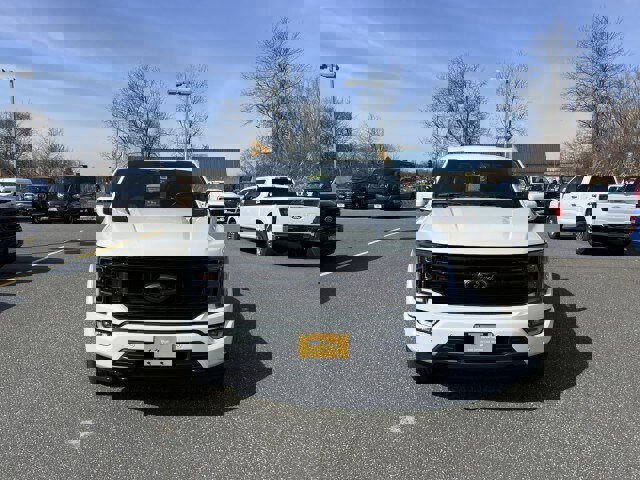 Certified 2023 Ford F150 Platinum w/ Equipment Group 701A High image 6