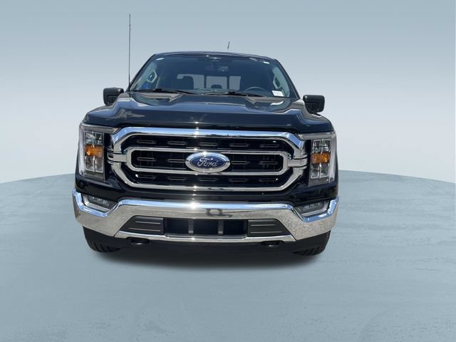 Certified 2023 Ford F150 XLT w/ Equipment Group 302A High AWD/4WD image 10