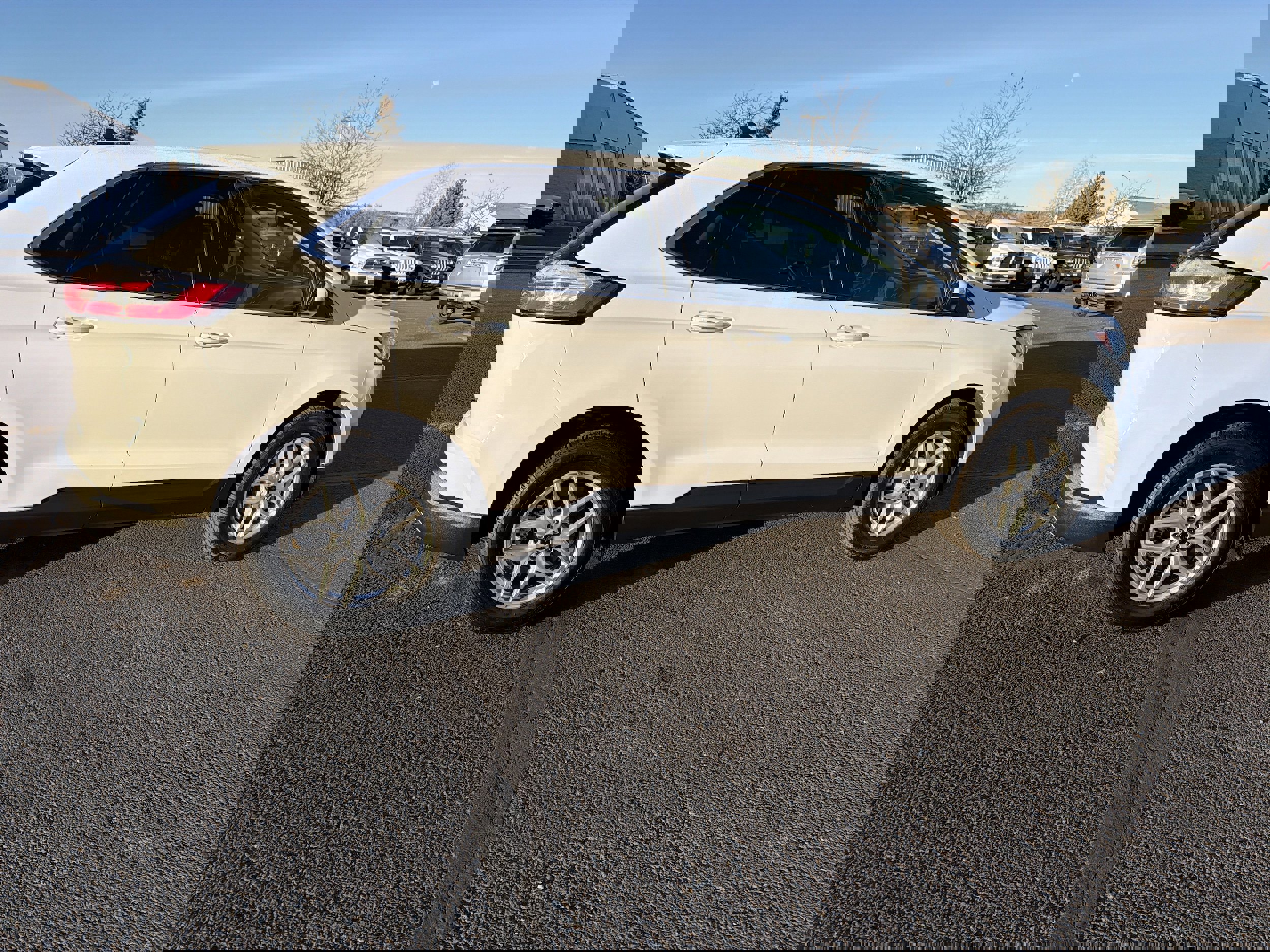 Certified 2024 Ford Edge SEL image 6