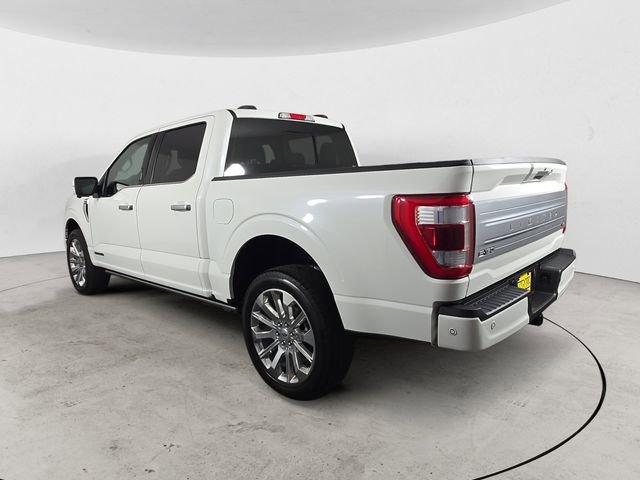 Certified 2023 Ford F150 Limited image 5
