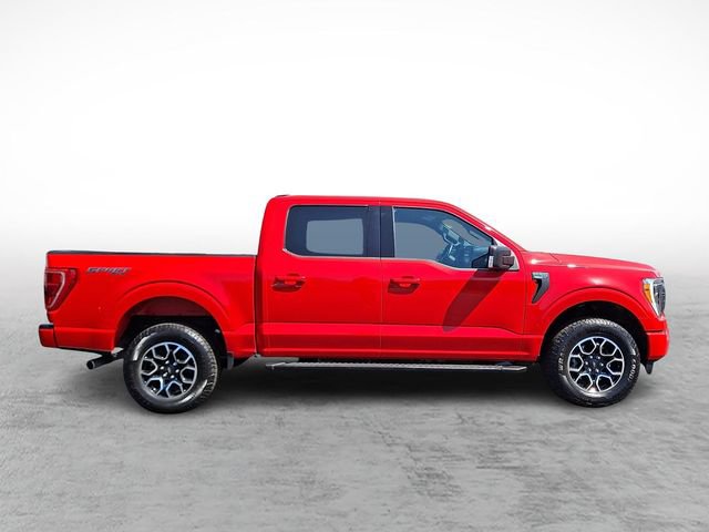 Certified 2023 Ford F150 XLT w/ Equipment Group 302A High AWD/4WD image 7