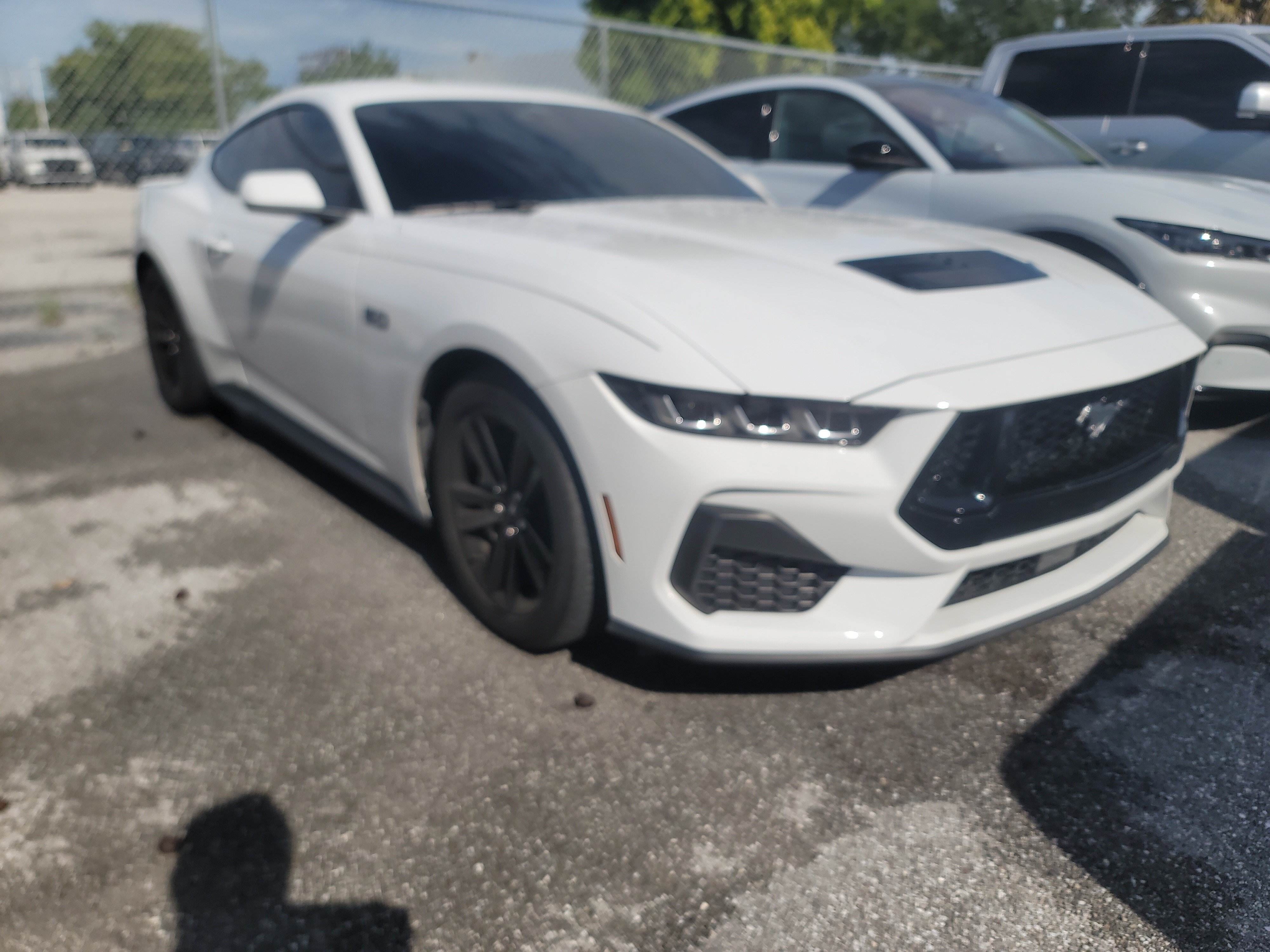 Certified 2024 Ford Mustang GT RWD image 2