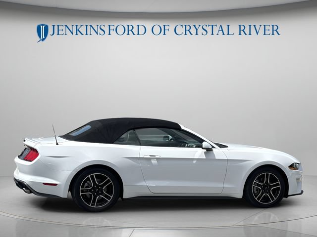 Certified 2022 Ford Mustang Premium RWD image 6