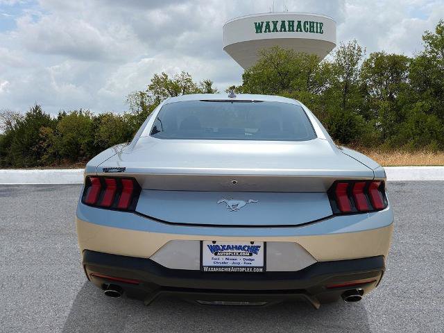 Certified 2024 Ford Mustang Coupe RWD image 4