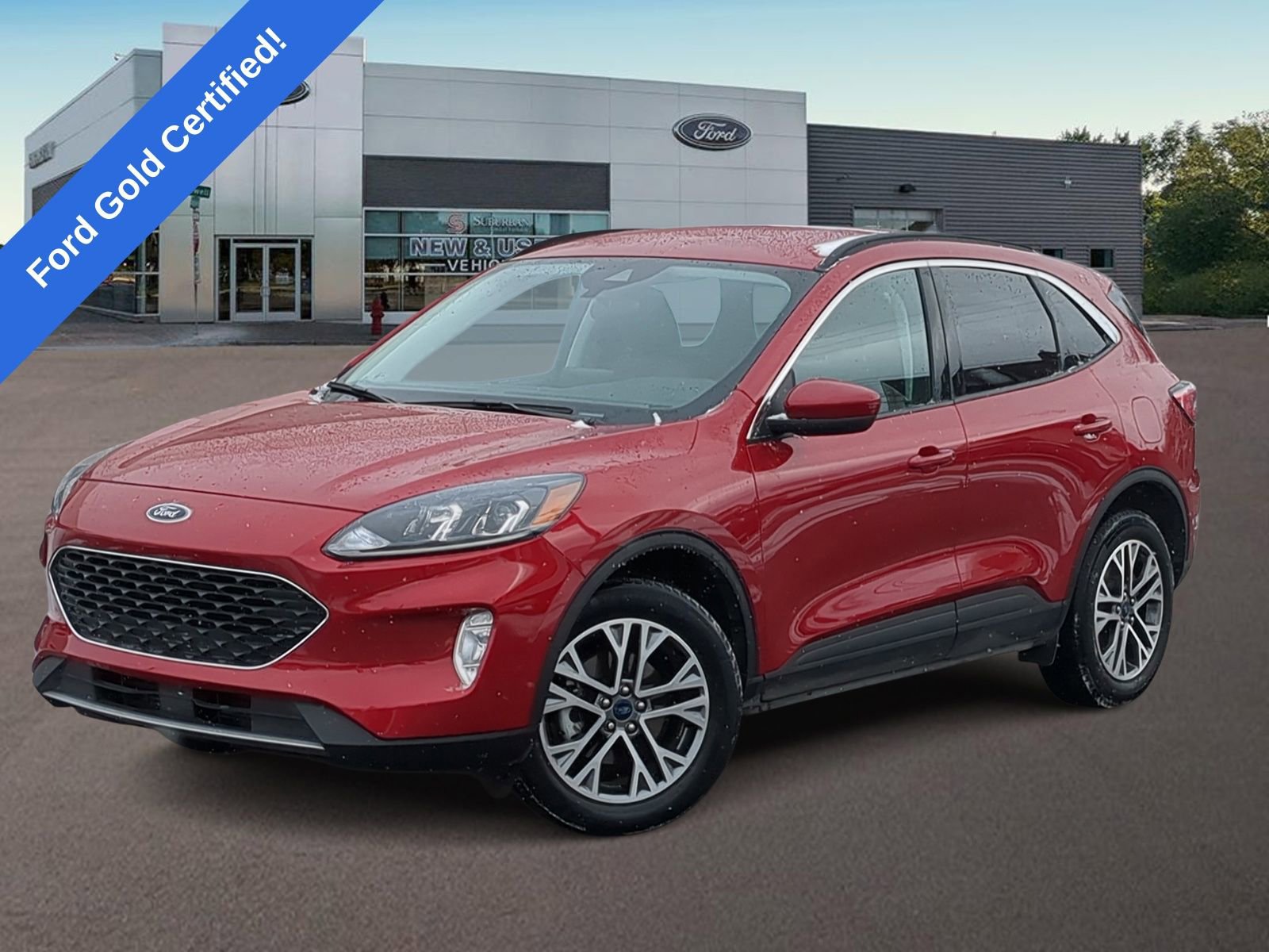 Certified 2022 Ford Escape SEL image 1