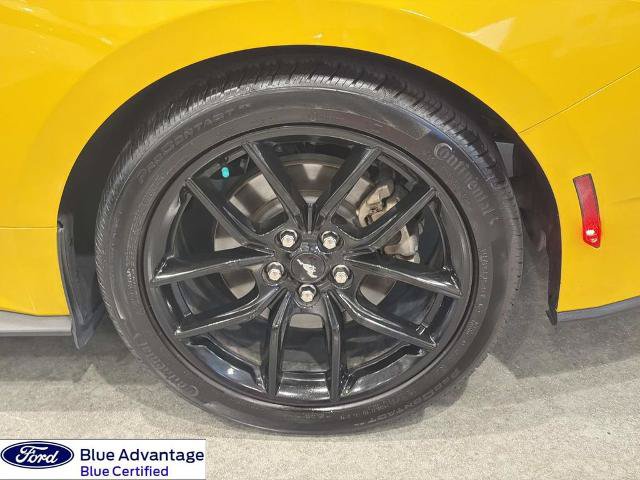 Certified 2024 Ford Mustang Coupe w/ Mustang Nite Pony Package RWD image 7