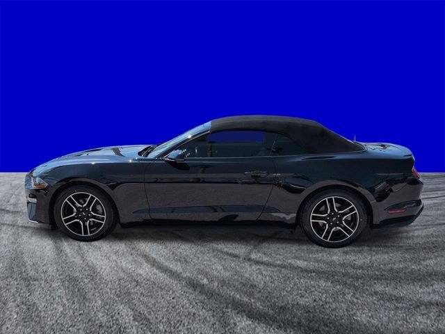 Certified 2019 Ford Mustang Premium RWD image 7