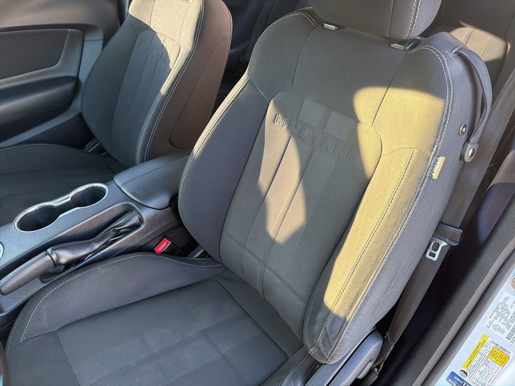 Certified 2019 Ford Mustang GT w/ Equipment Group 301A image 17