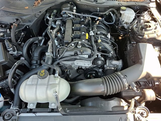 Certified 2021 Ford Mustang Premium w/ Equipment Group 201A RWD image 29