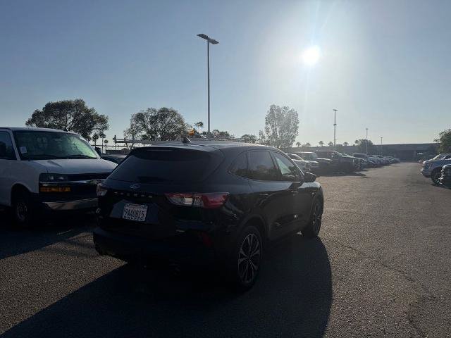 Certified 2022 Ford Escape SE w/ SE Sport Appearance Package FWD image 3