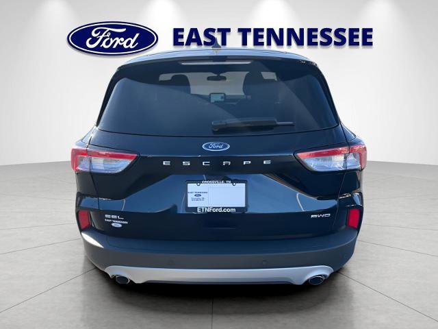 Certified 2022 Ford Escape SEL image 4