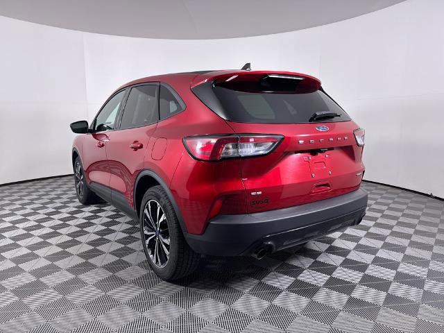 Certified 2022 Ford Escape SE w/ SE Sport Appearance Package image 3