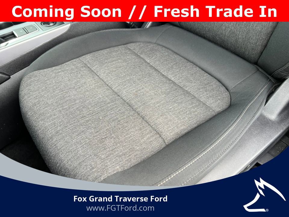 Certified 2024 Ford Bronco Sport Big Bend w/ Convenience Package image 14