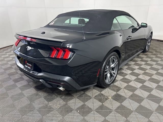 Certified 2025 Ford Mustang Premium w/ Wheel & Stripe Package RWD image 6