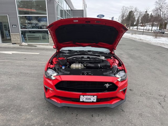 Certified 2021 Ford Mustang GT Premium w/ Equipment Group 401A image 11