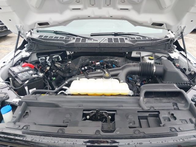 Certified 2025 Ford F150 XLT w/ Equipment Group 301A Standard image 27