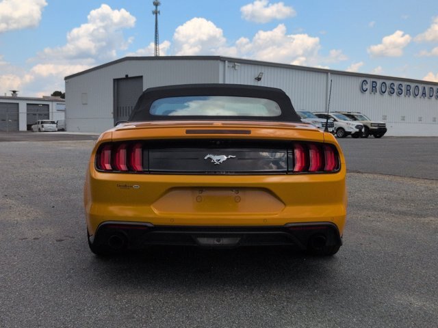 Certified 2019 Ford Mustang Premium w/ Equipment Group 201A RWD image 5