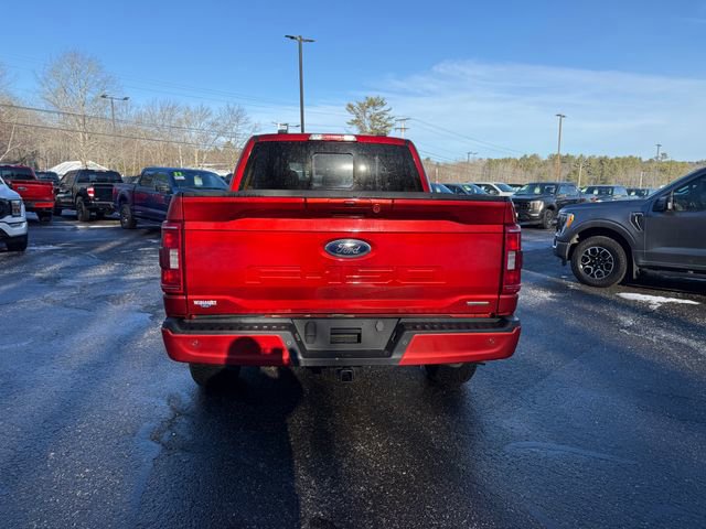 Certified 2023 Ford F150 XLT w/ Equipment Group 302A High image 5