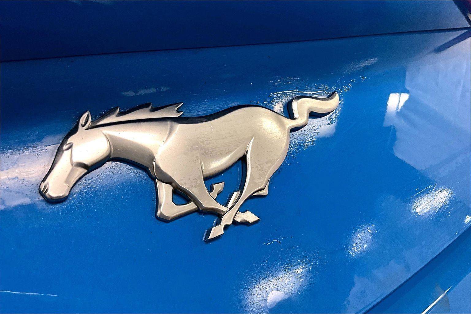 Certified 2024 Ford Mustang Premium image 13