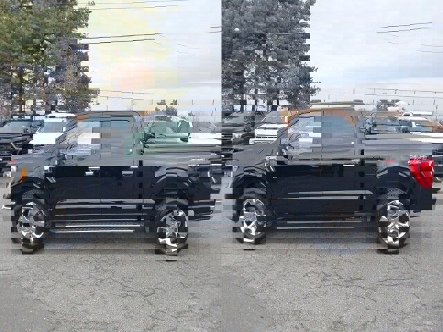 Certified 2021 Ford F150 XLT w/ Equipment Group 302A High image 2