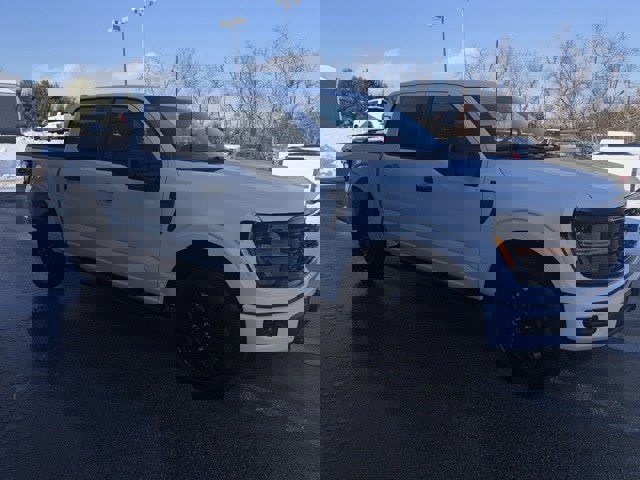 Certified 2024 Ford F150 STX w/ STX Black Appearance Package image 12