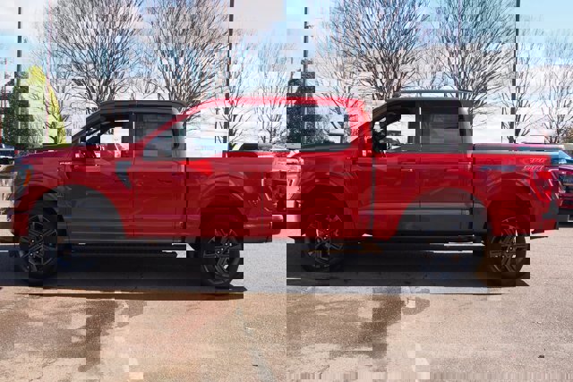 Certified 2023 Ford F150 XLT w/ Equipment Group 302A High image 2