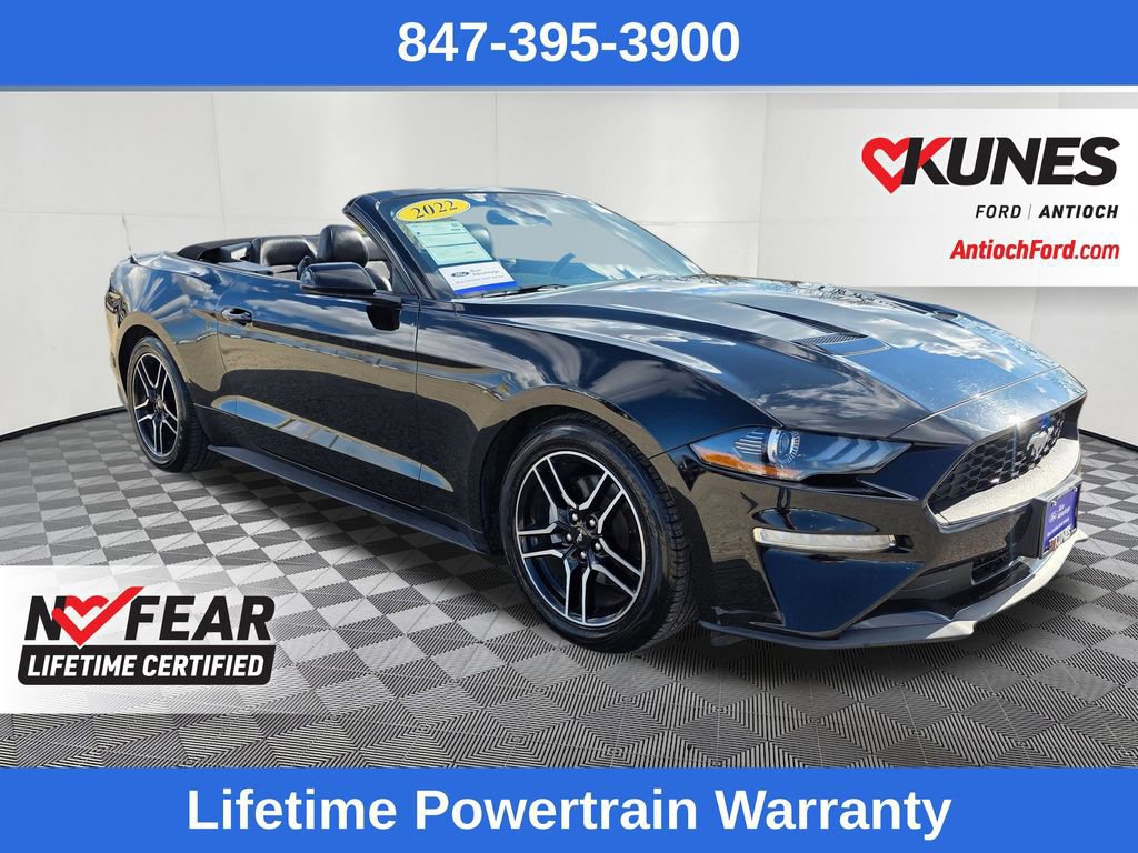 Certified 2022 Ford Mustang Premium image 13