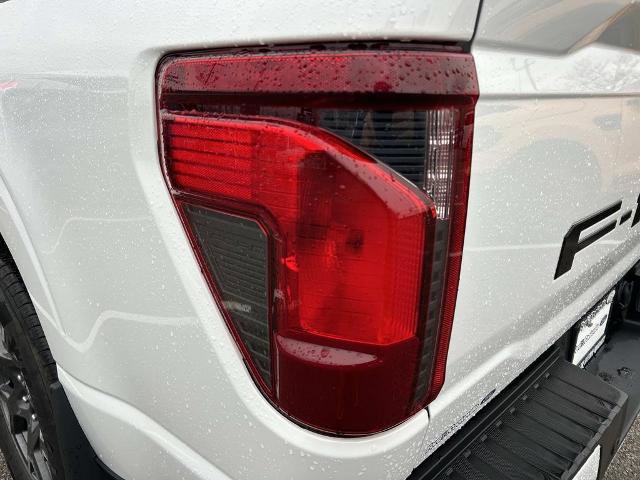Certified 2025 Ford F150 STX w/ Equipment Group 200A image 10