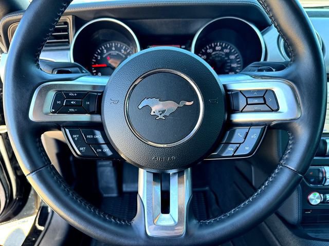 Certified 2019 Ford Mustang Premium image 12