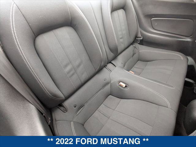 Certified 2022 Ford Mustang EcoBoost Fastback w/ Equipment Group 101A image 21