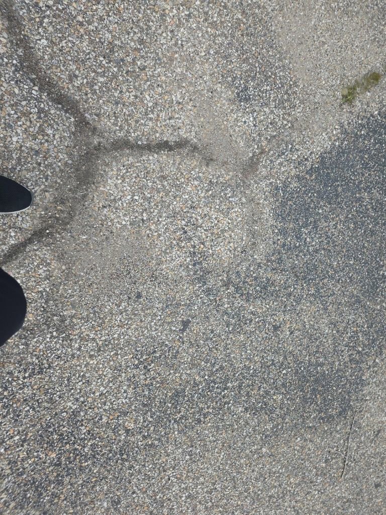 Certified 2024 Ford Escape ST-Line w/ Tech Pack #1 image 12