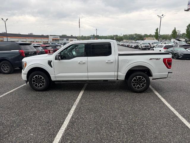 Certified 2023 Ford F150 XLT w/ Equipment Group 302A High AWD/4WD image 5