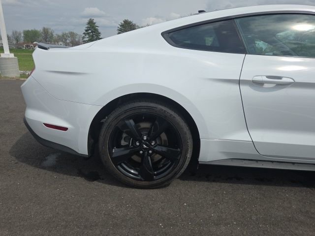 Certified 2021 Ford Mustang GT Premium w/ Equipment Group 401A image 7