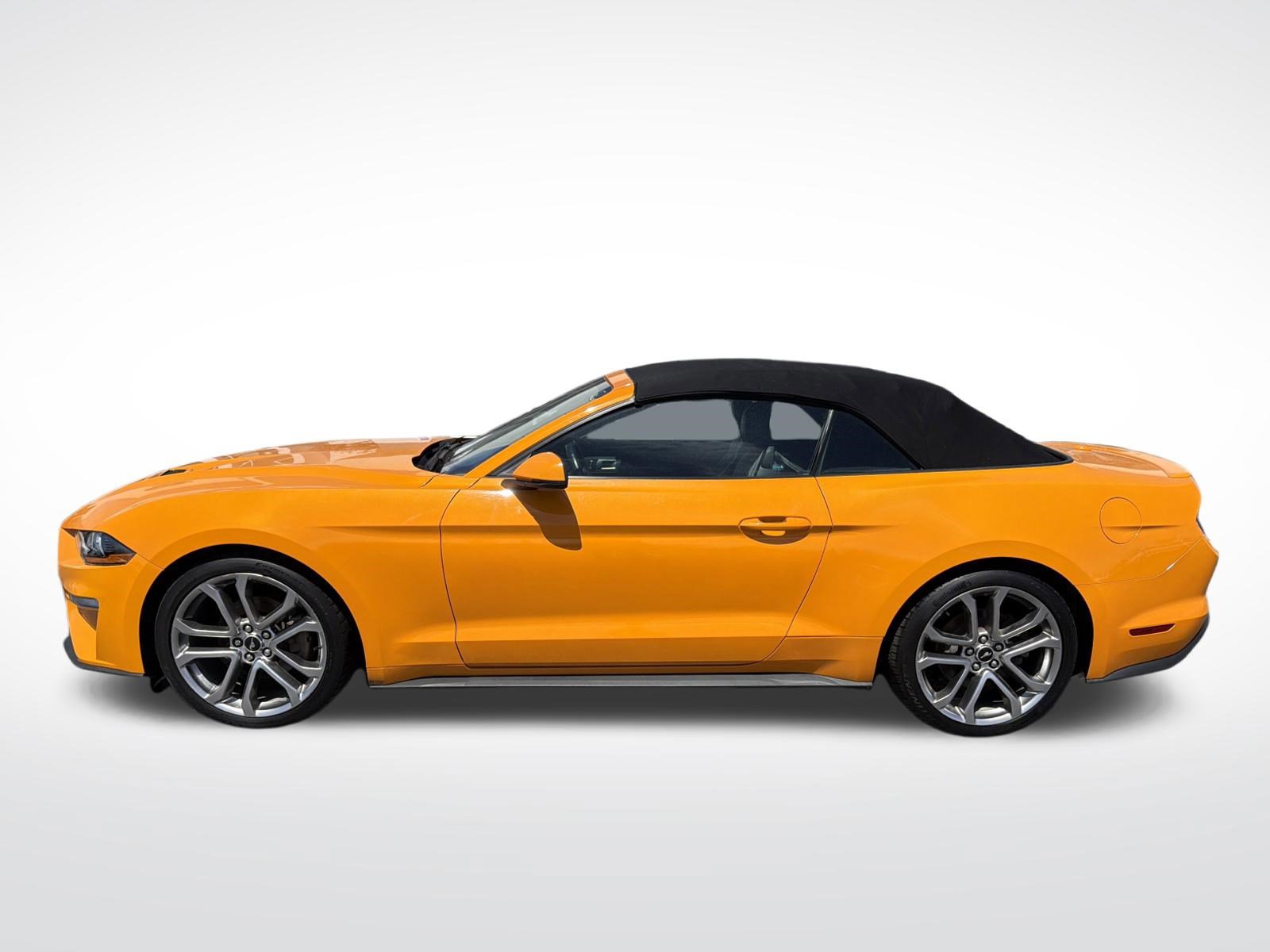 Certified 2018 Ford Mustang Premium w/ Equipment Group 201A RWD image 15