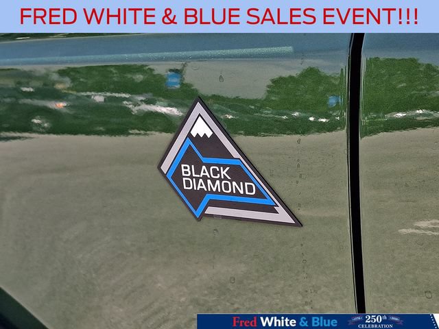 Certified 2024 Ford Bronco Black Diamond AWD/4WD image 31