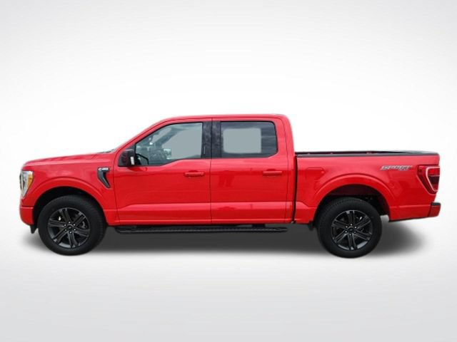 Certified 2023 Ford F150 XLT w/ Equipment Group 302A High AWD/4WD image 5