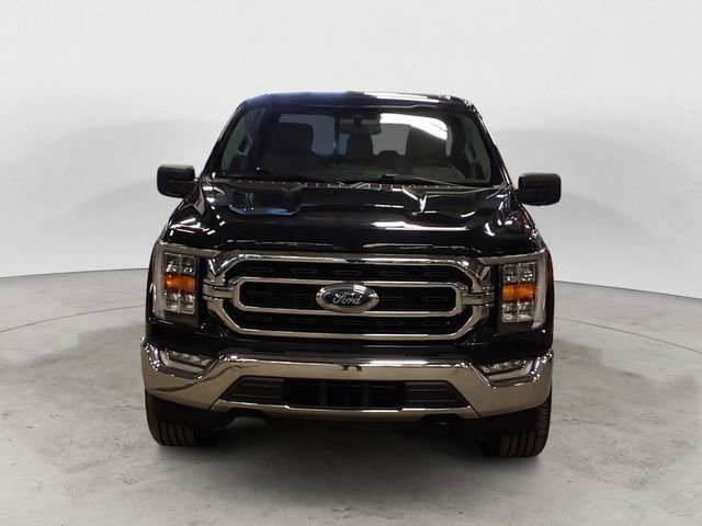 Certified 2023 Ford F150 XLT w/ Equipment Group 302A High image 8