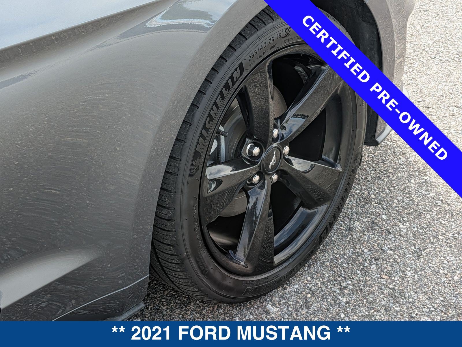 Certified 2021 Ford Mustang Premium w/ Black Accent Package RWD image 13