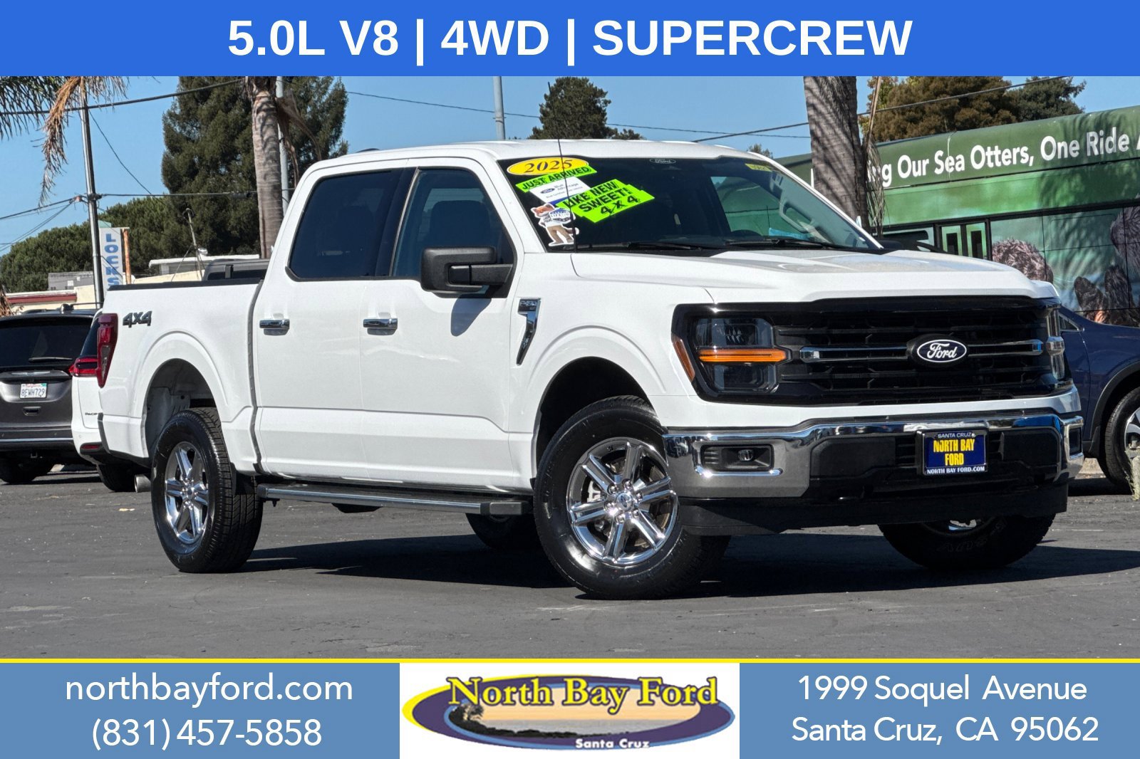 Certified 2025 Ford F150 XLT w/ Equipment Group 301A Standard