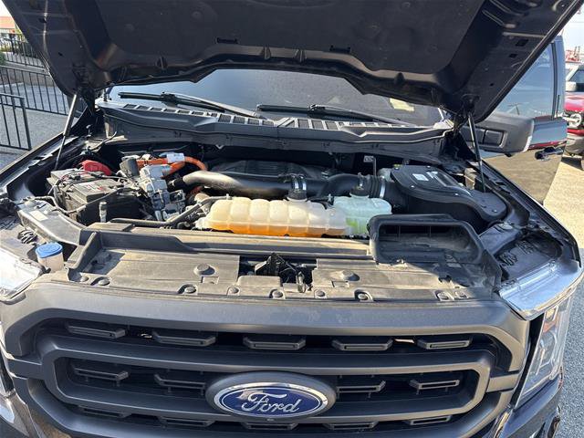 Certified 2023 Ford F150 XLT w/ Equipment Group 302A High AWD/4WD image 29
