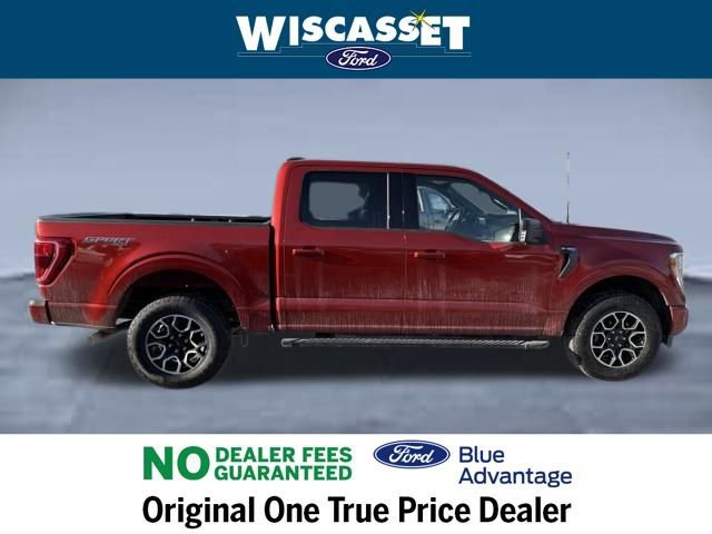 Certified 2023 Ford F150 XLT w/ Equipment Group 302A High image 6