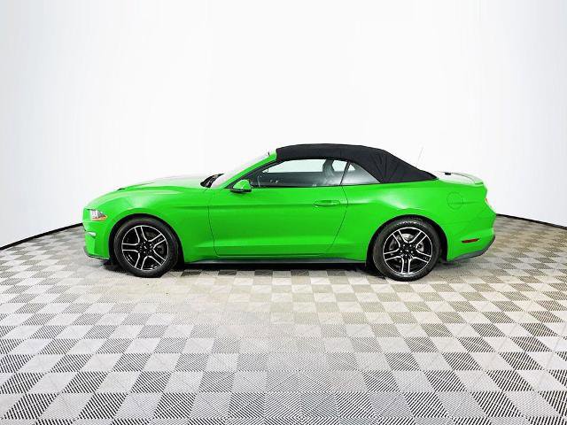 Certified 2019 Ford Mustang Premium w/ Ford Safe & Smart Package image 2