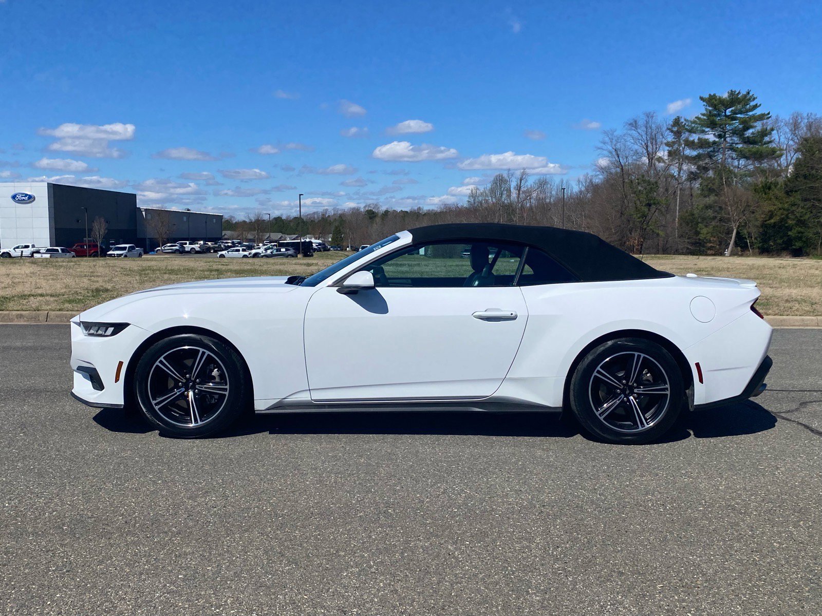 Certified 2024 Ford Mustang Premium image 5